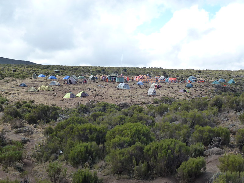 7 Days Rongai Route