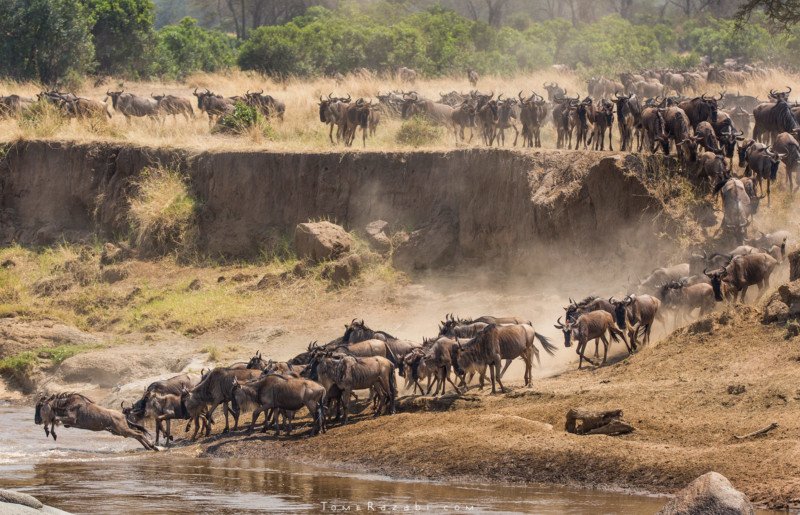 Lake Manyara National Park is one of Tanzania’s most scenic and ecologically diverse wildlife areas.