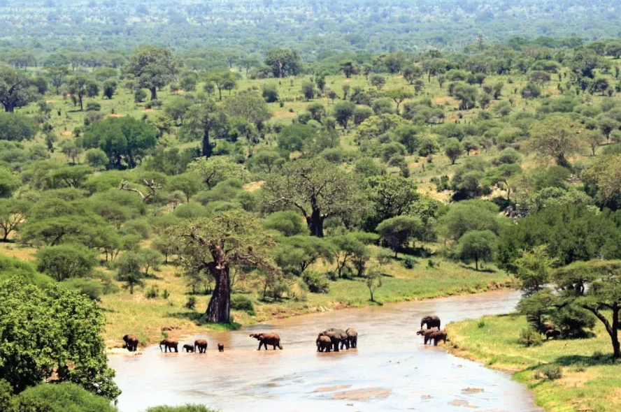 Tarangire National Park Tarangire National Park