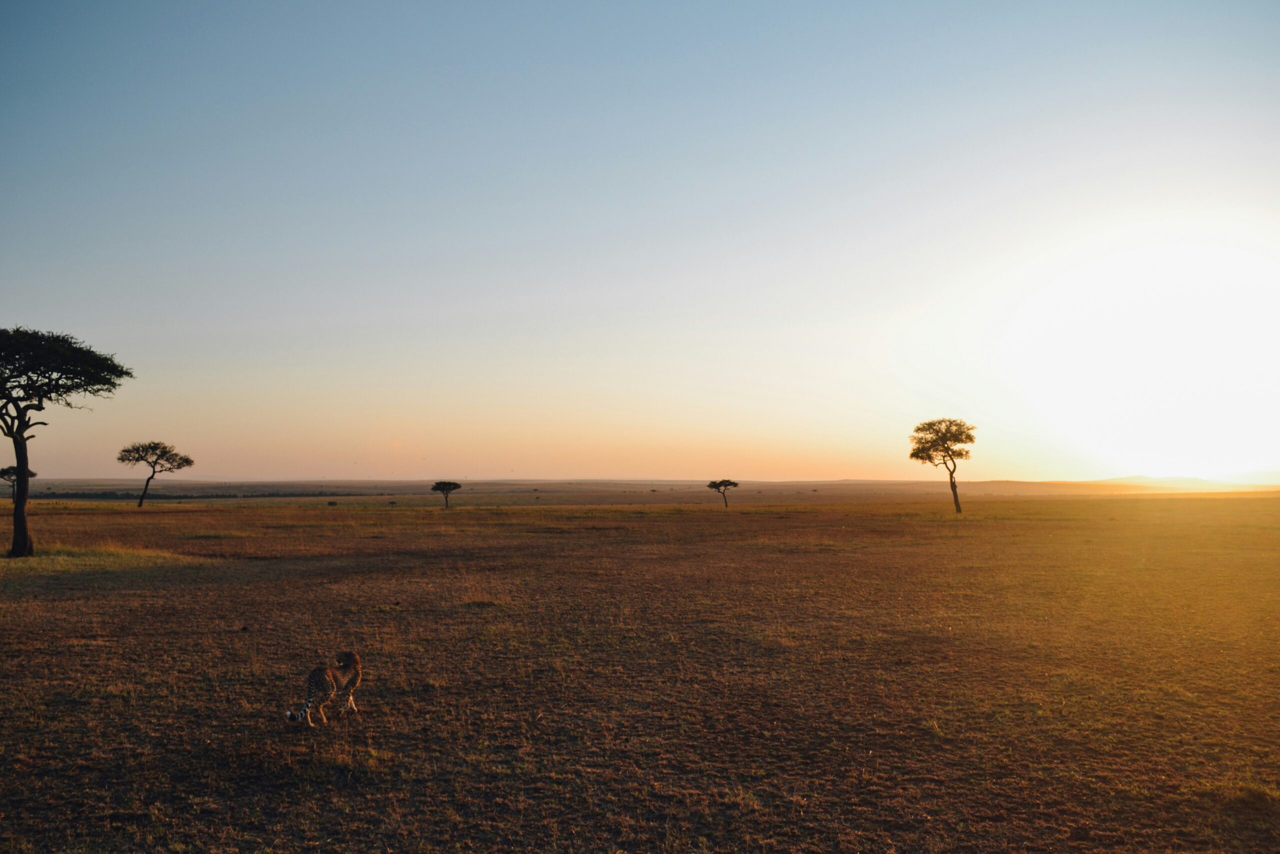 3 Days Authentic Tanzania