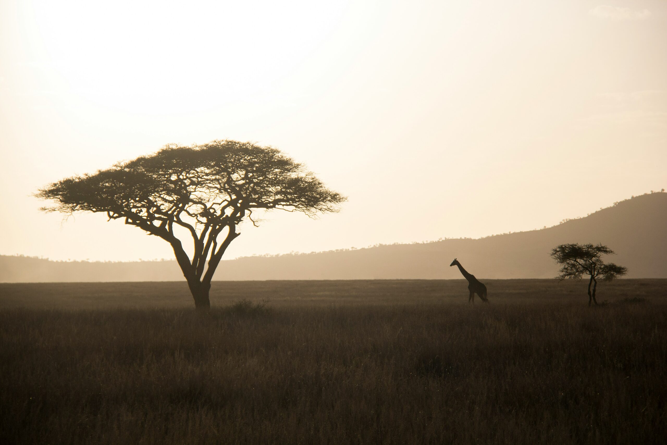 3 Days Authentic Tanzania