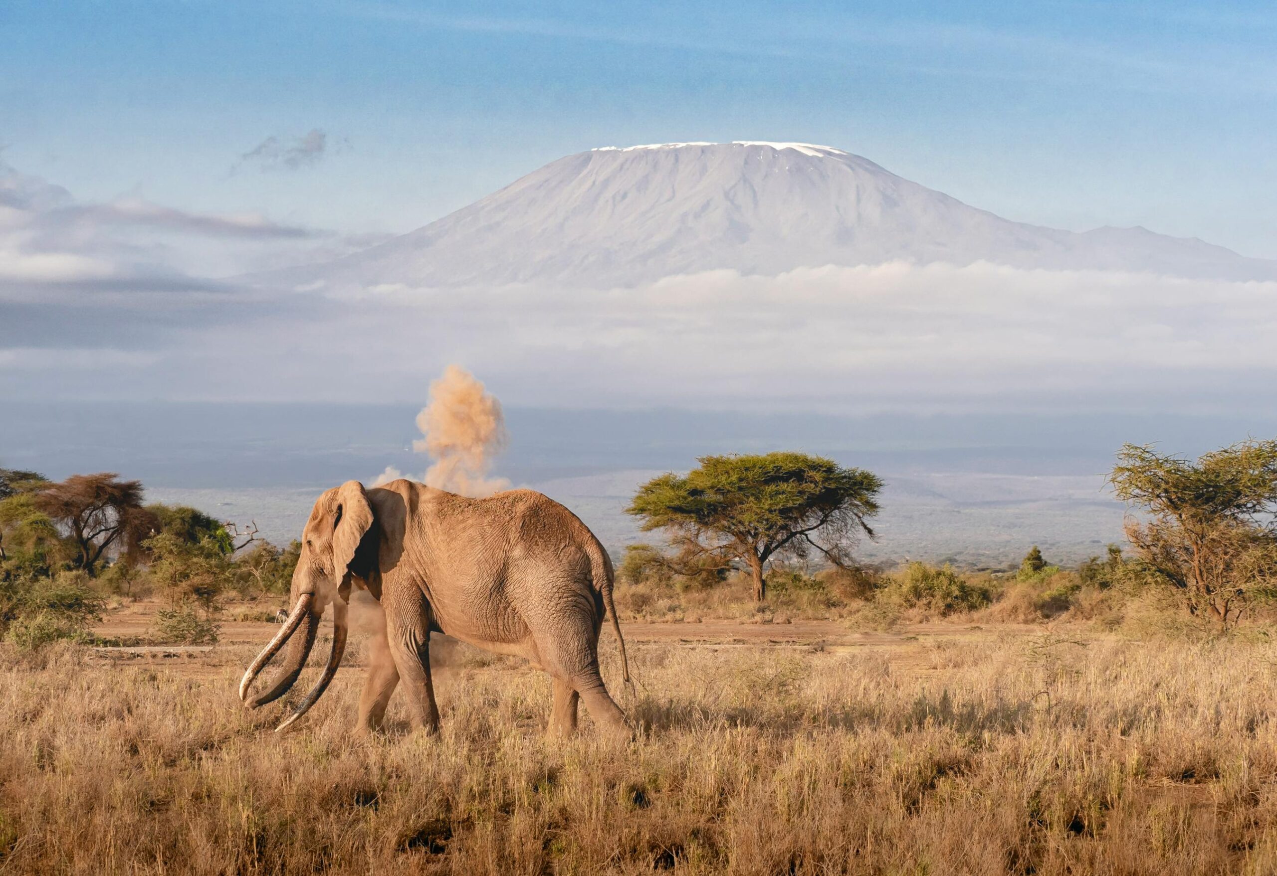 7 Days Rongai Route