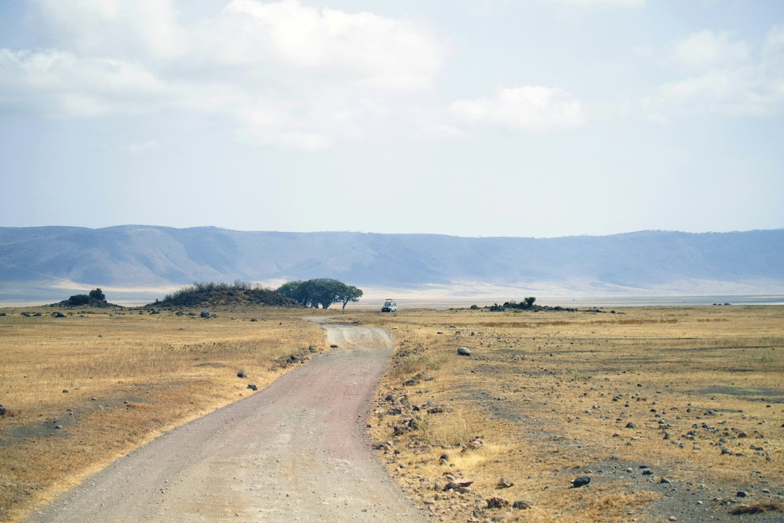 3 Days Authentic Tanzania