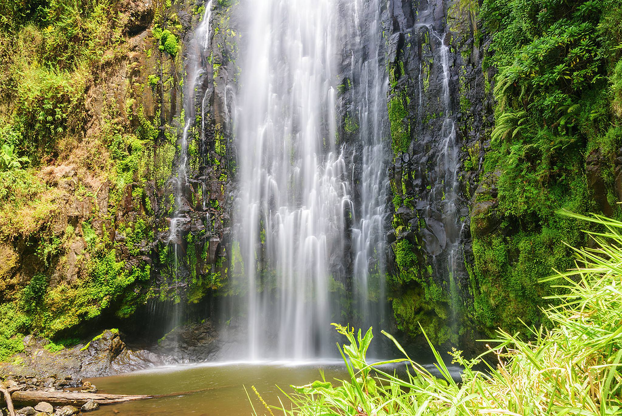 Materuni Waterfalls and Coffee Tour