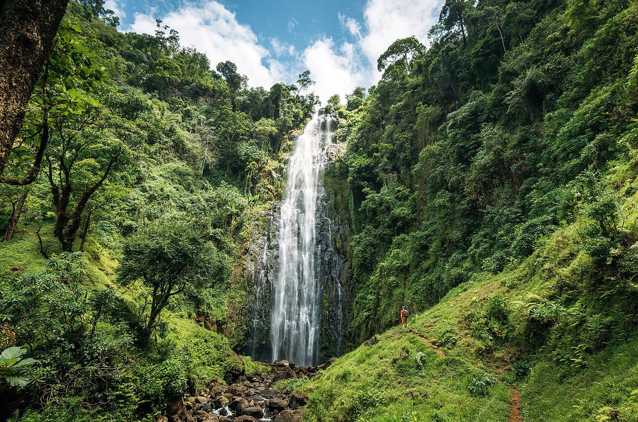 Materuni Waterfalls and Coffee Tour