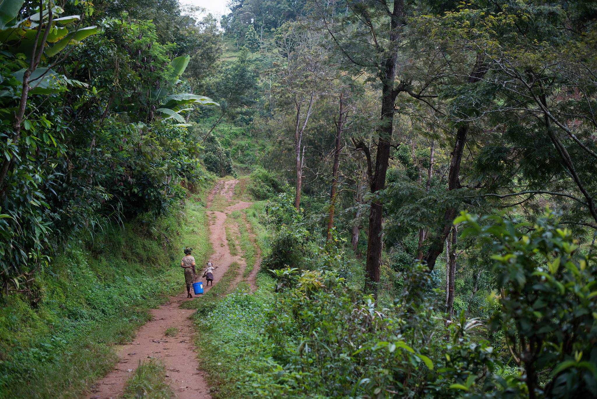 Materuni Waterfalls and Coffee Tour