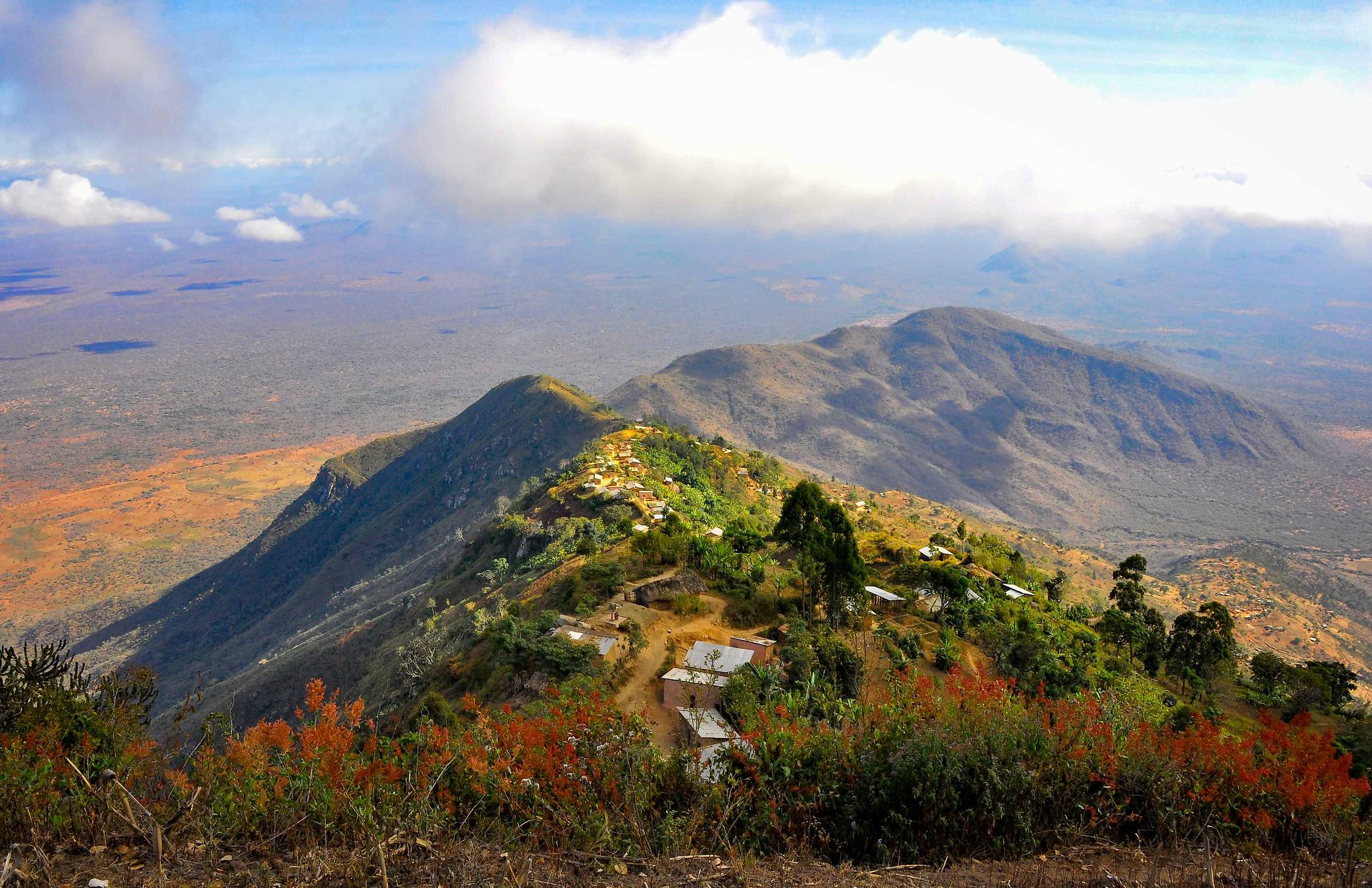 Usambara Mountains