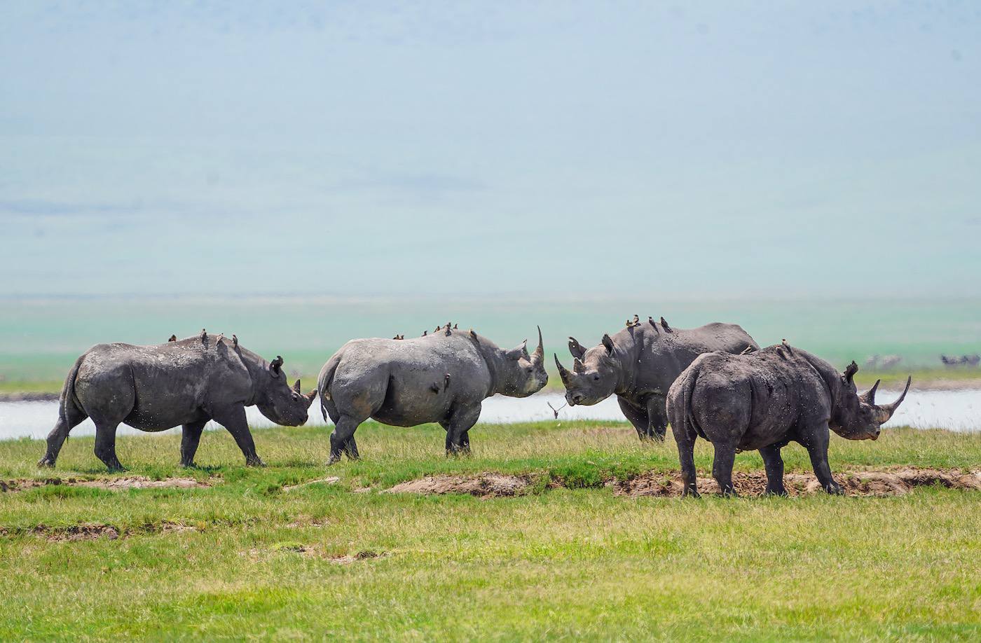 it's a geological masterpiece and one of Africa’s most iconic wildlife destinations.