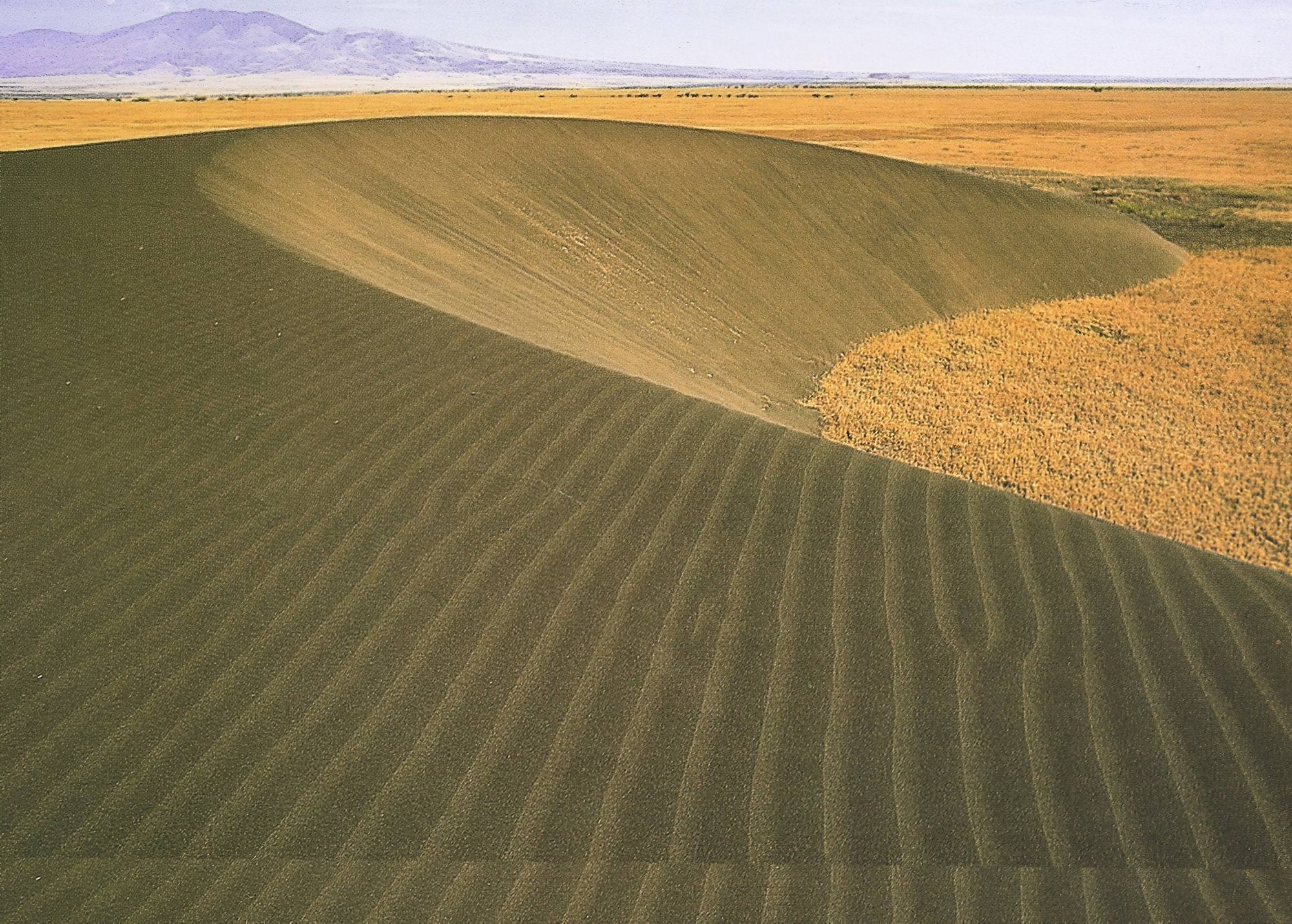 The black sand dunes that occur in the eastern Serengeti Plain near the