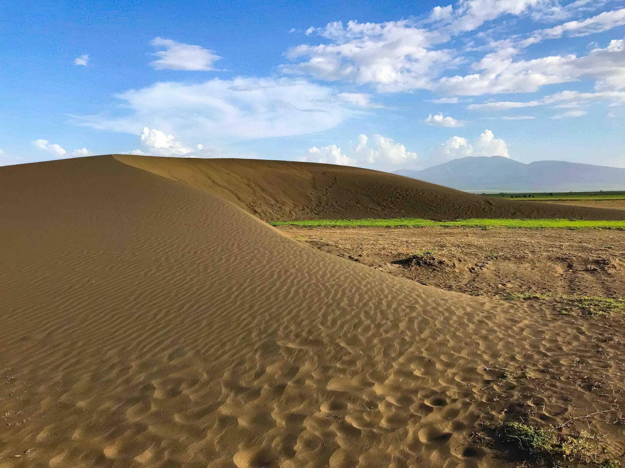 Shifting Sands