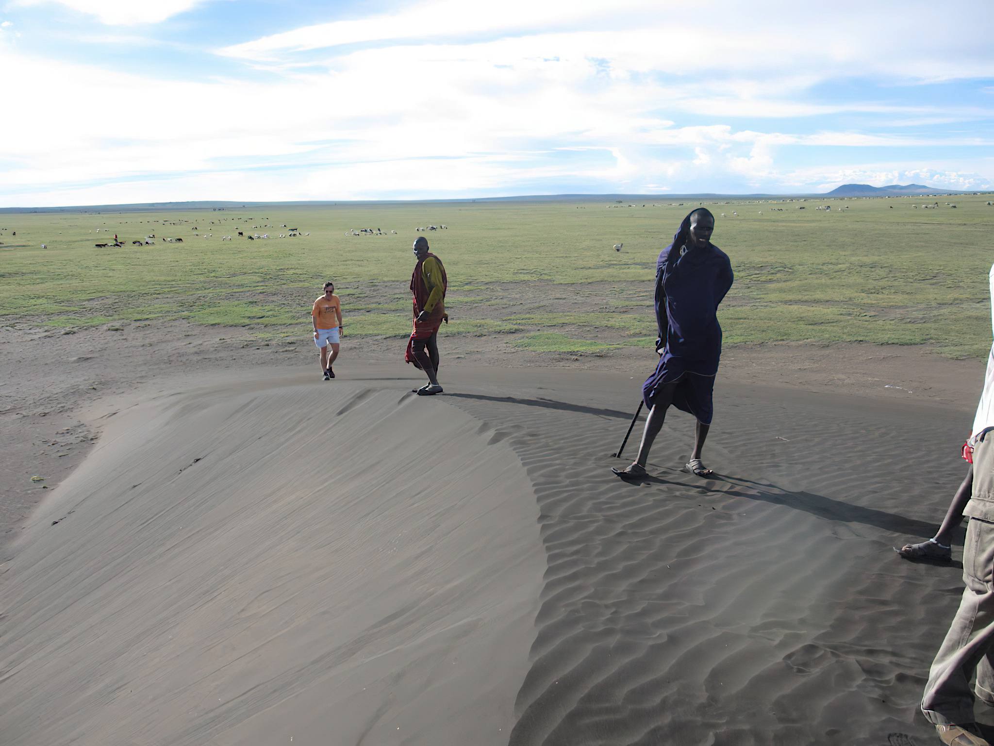 Shifting Sands