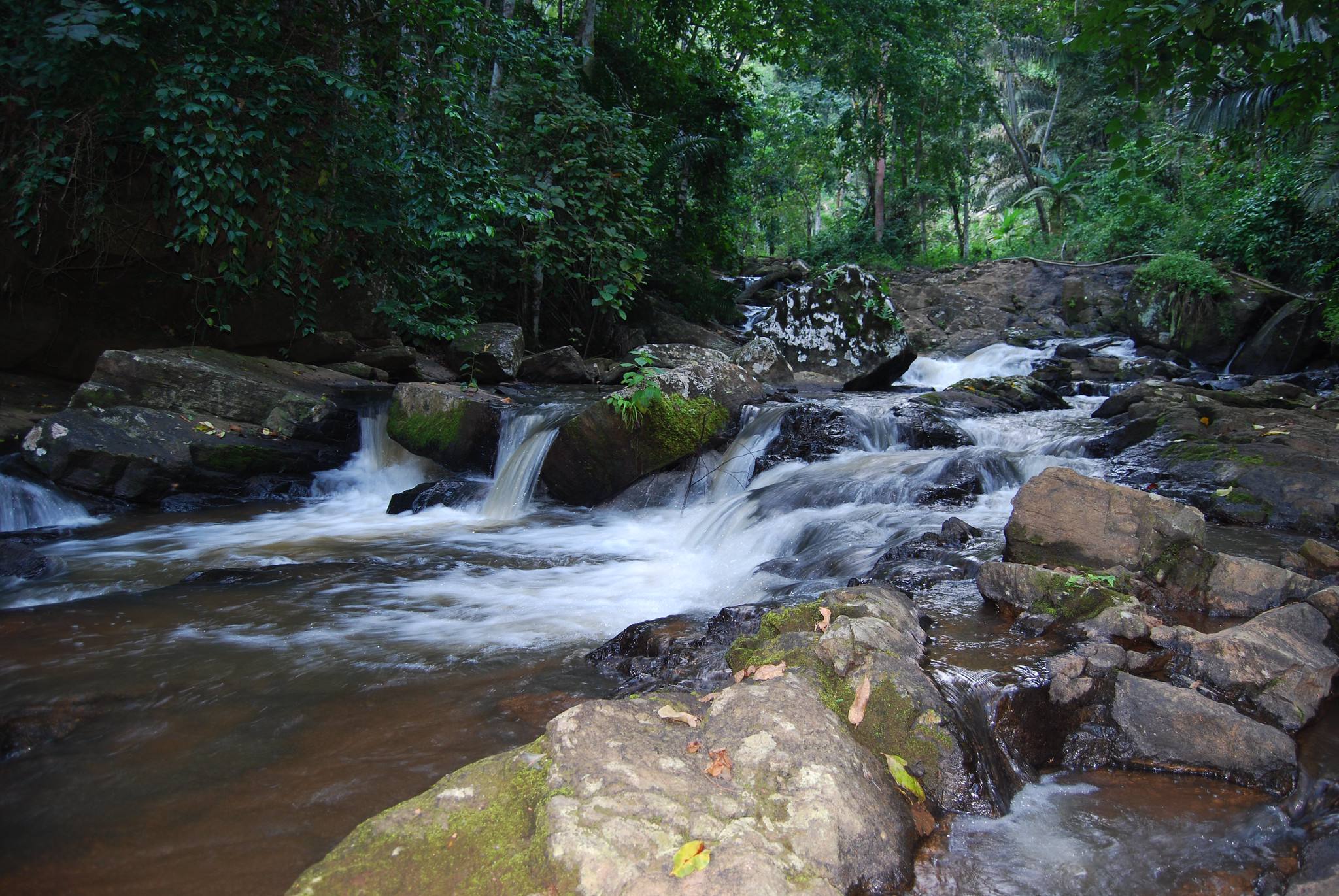 Usambara Mountains