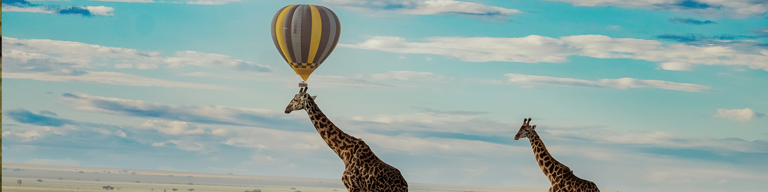 5 Days Tanzania Under the Skies Safari
